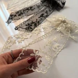 پاپیون دانتل فرانسه