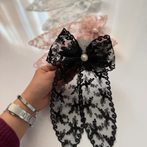 پاپیون دانتل فرانسه